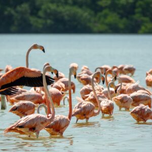 LE SENEGAL EN 8 JOURS<br>Couple, Luxe & Confort