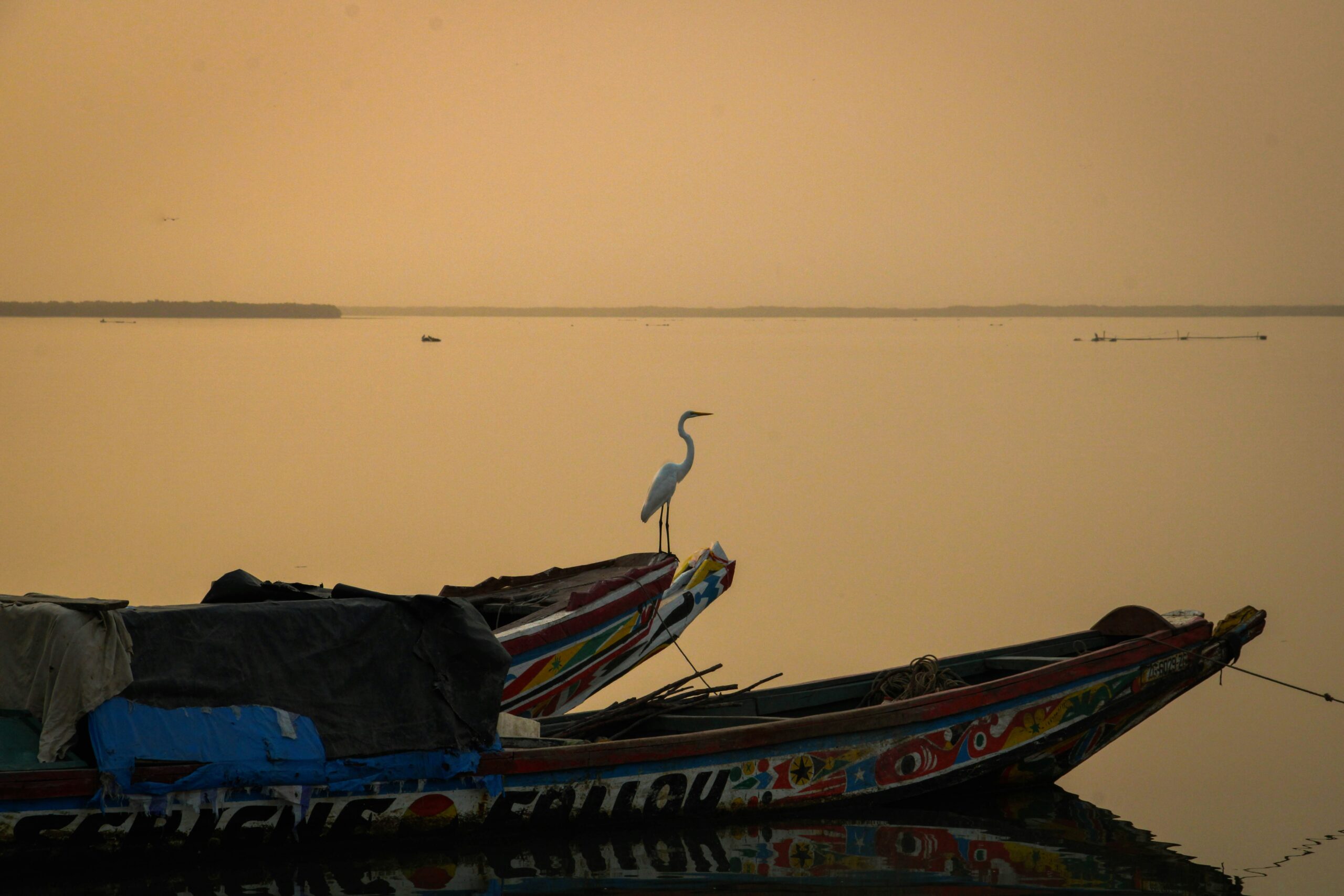 Pirogue sur le fleuve Casamance à Ziguinchor — Palm Three Genève