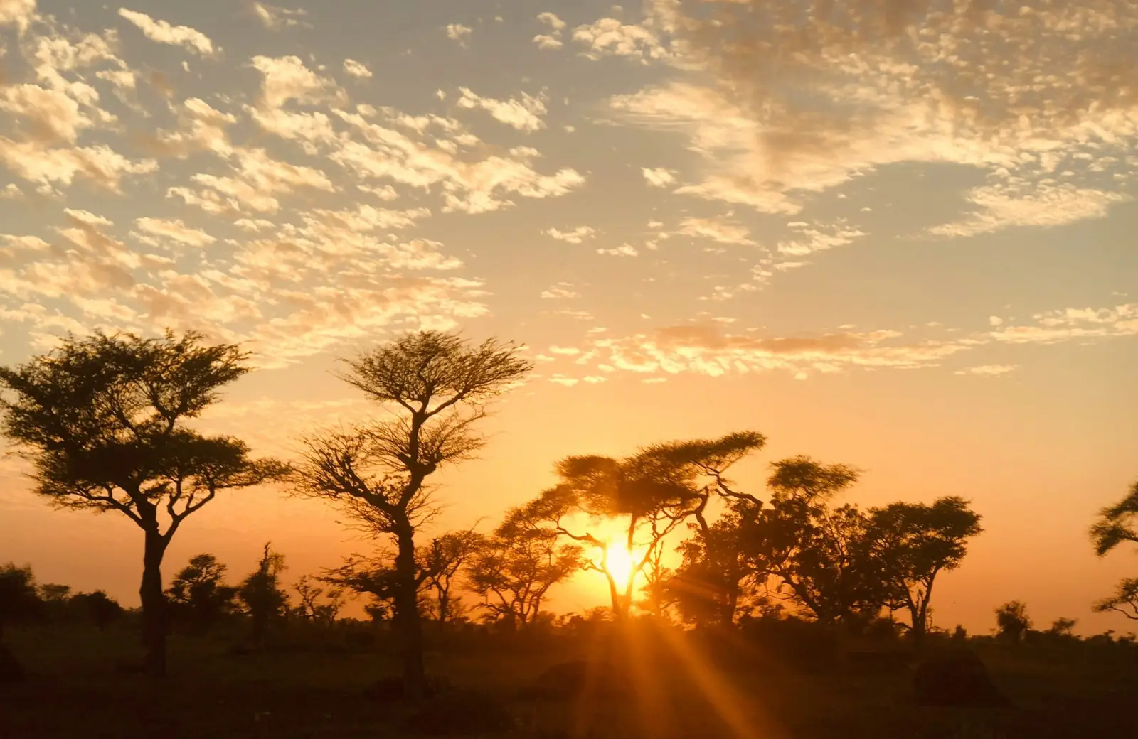 Vue sur Saint-Louis du Sénégal depuis le fleuve — Palm Three Genève