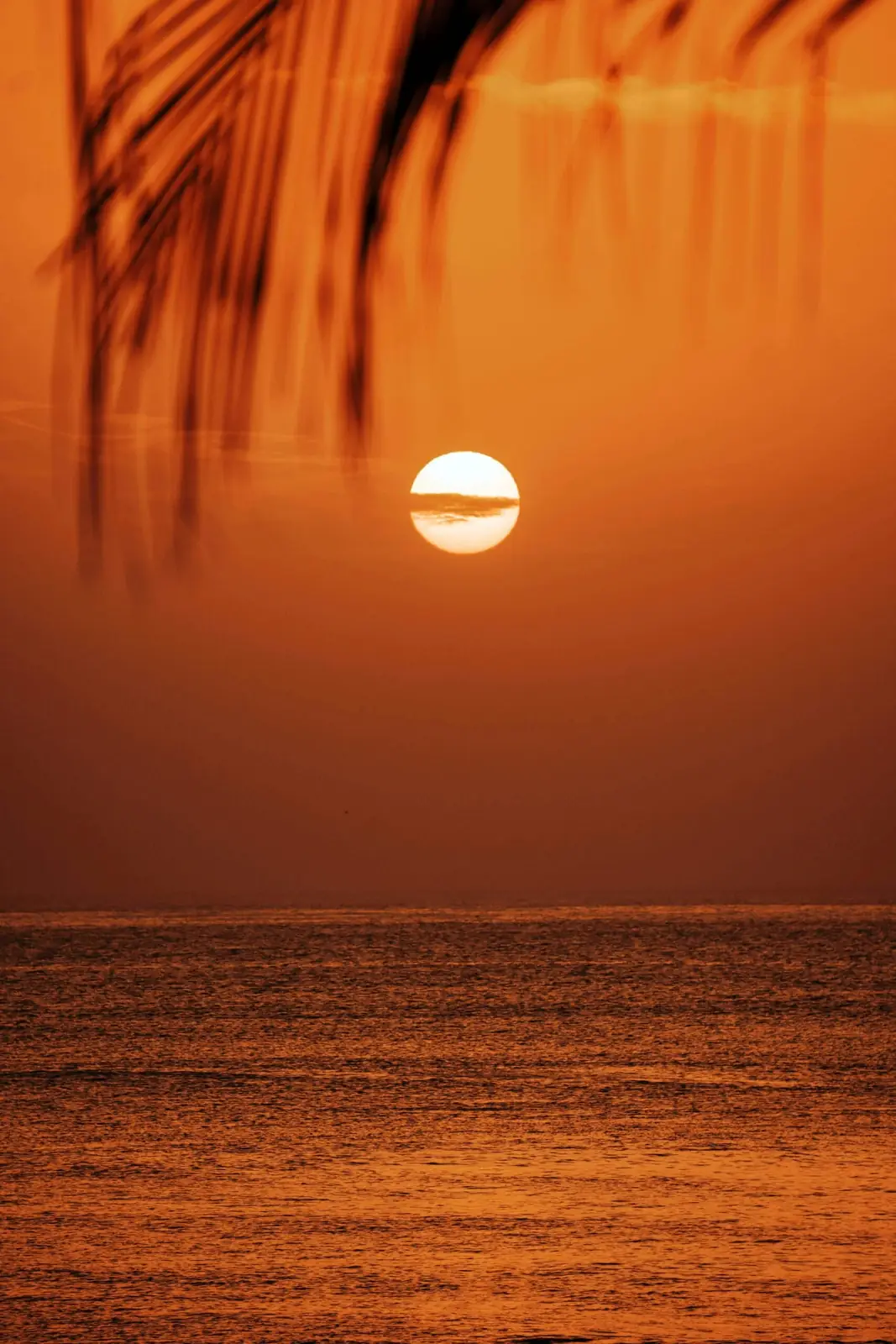 Coucher de soleil sur le Sénégal — Palm Three