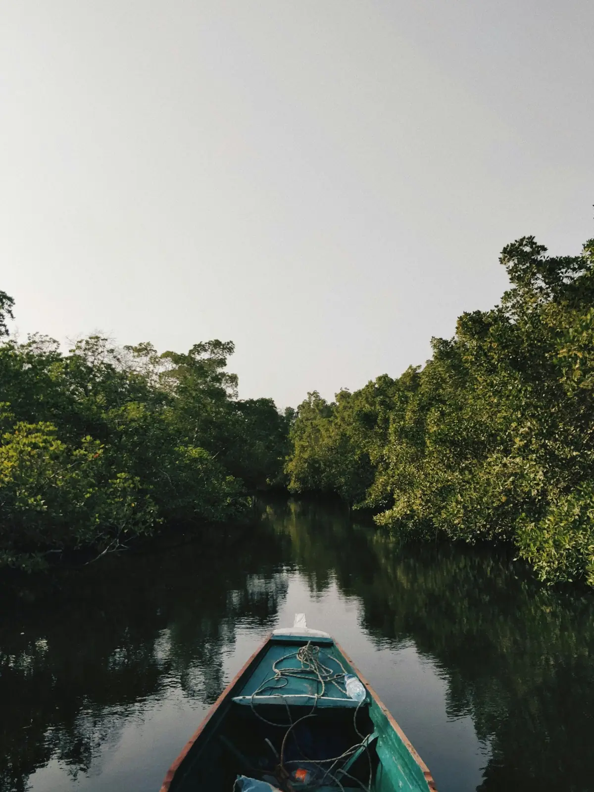 Sine Saloum Sénégal delta — voyage sur mesure depuis Genève Palm Three