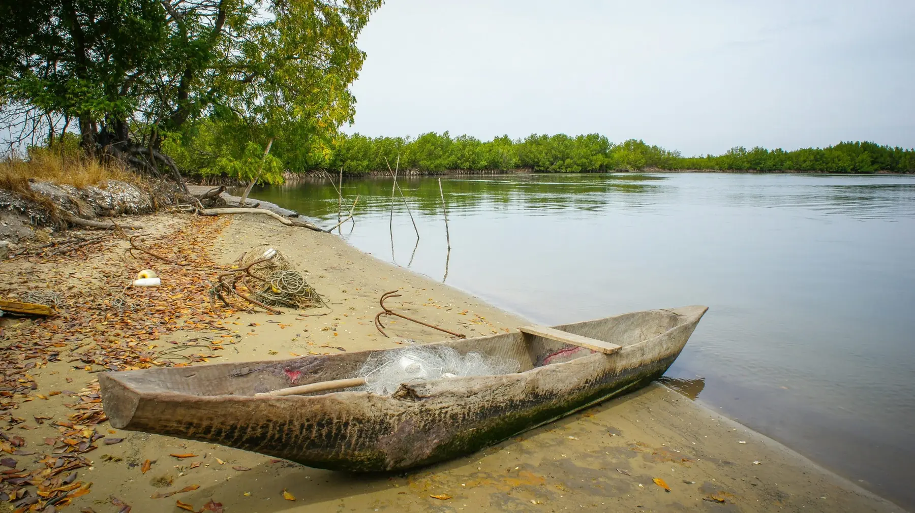 Balade en pirogue dans les bolongs de Casamance — Palm Three Genève