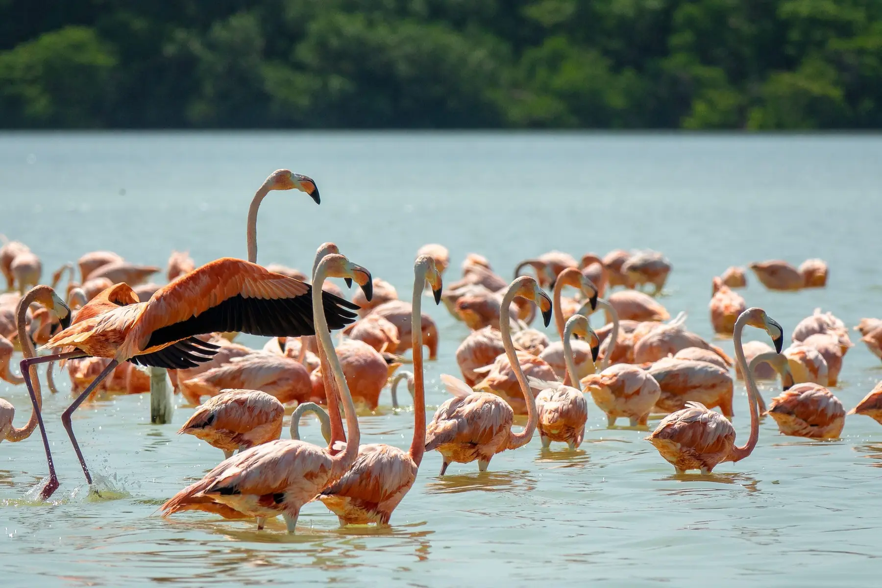 Voyage couple luxe Sénégal 8 jours